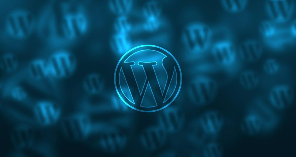 Boost Your Business With WordPress Web Design Agency